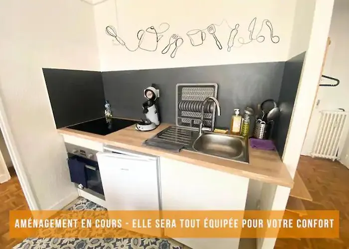 Apartment Le Saint Louis- Parking -poitiers Centre - Dortoir *
